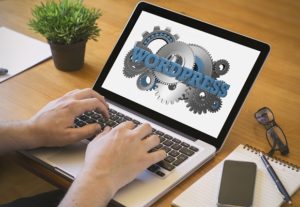 Look Out For Hiring A Freelance WordPress Developer