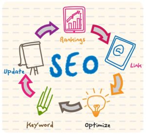 Need a SEO service