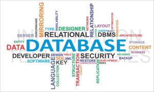 Creating Relational Databases in Excel 2013